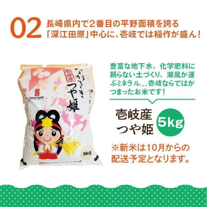 【全6回定期便】壱岐産米つや姫5kg・旬の野菜5品《壱岐市》【壱岐市農業協同組合】 [JBO048] 野菜 食材 夏野菜 セット 野菜セット スムージー 米 お米 つや姫 ご飯 旬 鮮度 新鮮 定期便 冷蔵配送 九州 138000 138000円