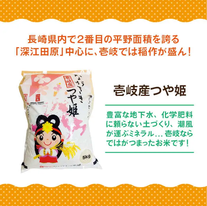 【全3回定期便】壱岐産 つや姫 5kg《壱岐市》 [JBO056] 米 米 米 米 米