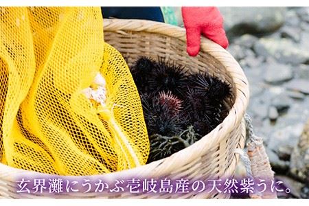 ウニ 生ウニ 天然紫うに！生 うに 2本セット計 120g 《壱岐市》【壱岐水産】[JBR006]