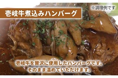 壱岐牛 煮込みハンバーグ キーマカレー セット 200g 5個《壱岐市》【壱岐味噌工房】[JBW005] 36000 36000円 加工品