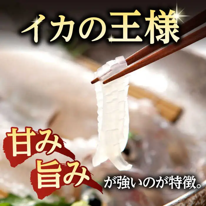 アオリイカ（処理済み） 700g前後 《壱岐市》[JCG018]