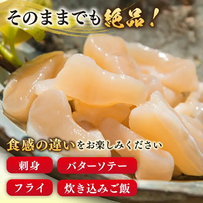 【ふるなびWEEK対象】アコヤ 貝 貝柱 1kg [JCJ004]