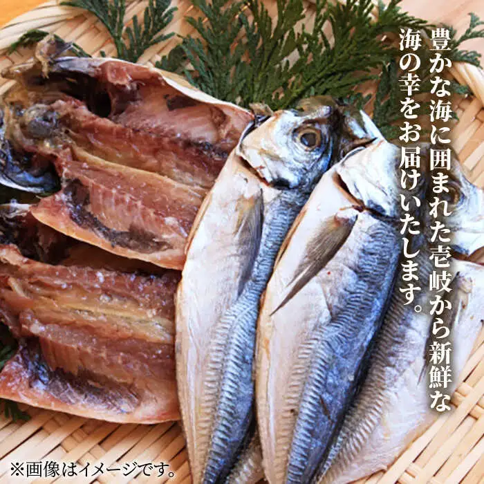 干物 壱岐のおもてなしセット【紫陽花】 《壱岐市》【汐彩屋】[JCT004] 32000 32000円