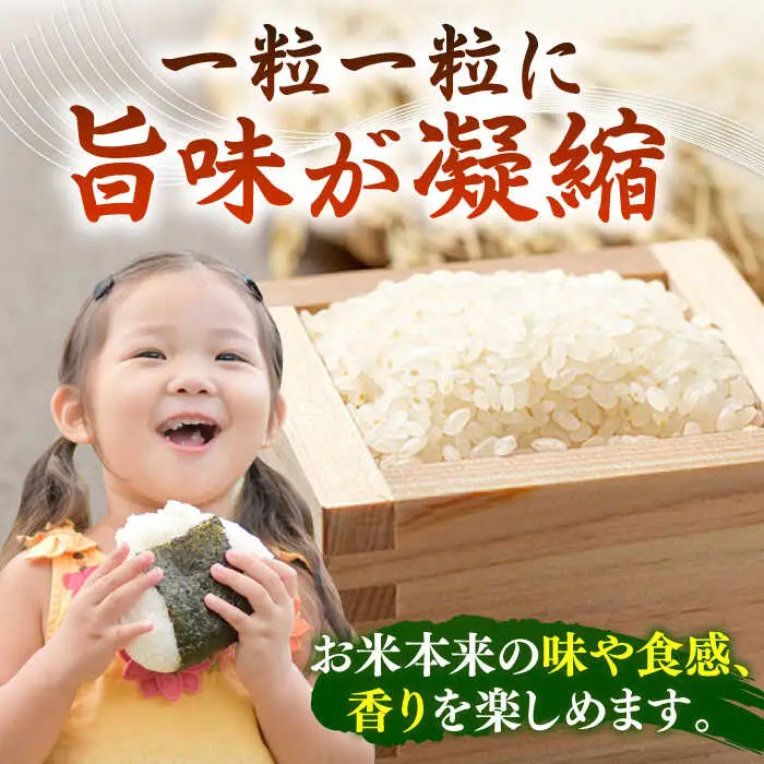 【全3回定期便】【R7年度産】天日自然乾燥米こしひかり 5kg [JCZ004] コシヒカリ