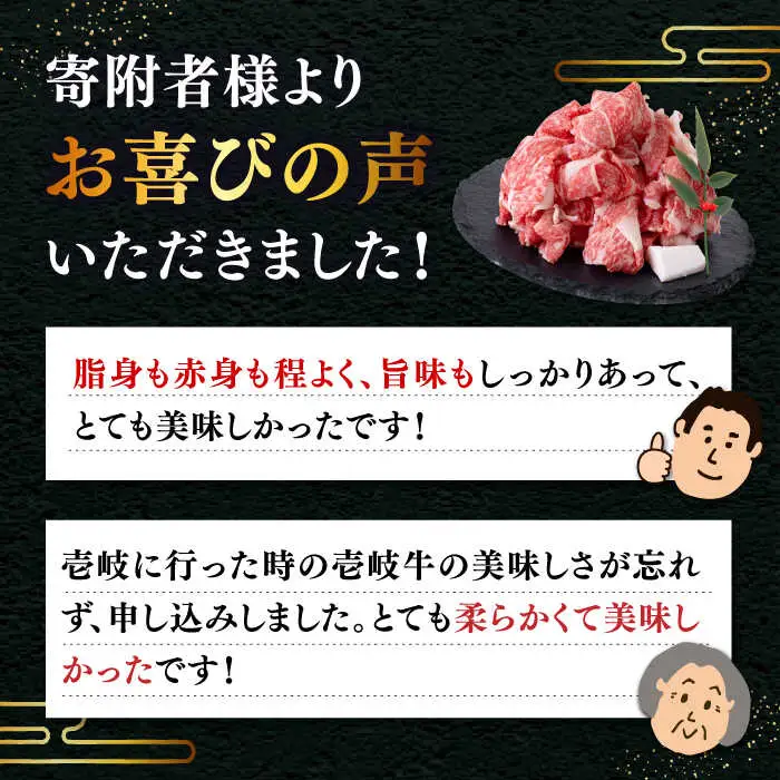 【全3回定期便 】特選 壱岐牛 切り落とし 500g (牛丼/肉じゃが/炒め物)  [JDD009]