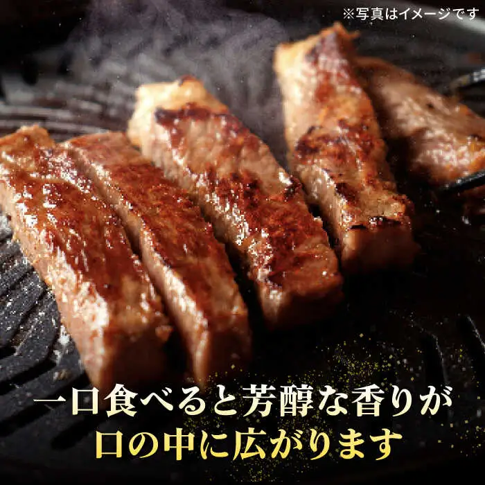 特選 壱岐牛 サーロインステーキ 約200g×5枚[JDL022] サーロイン