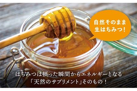 こいみつサプリ（日本蜂蜜 生はちみつスティックタイプ） 《壱岐市》【壱岐オリーブ園】[JDU006] 8000 8000円 九州