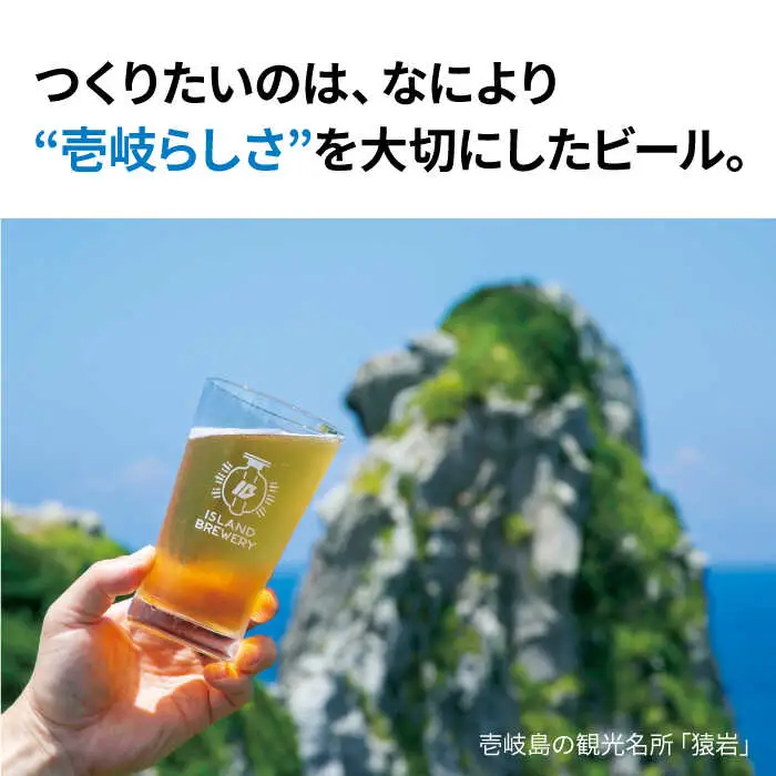 クラフトビール 地ビール 330ml 24本詰め合わせ（3種類×8本）《壱岐市》【ISLAND BREWERY】 [JED008] 63000 63000円