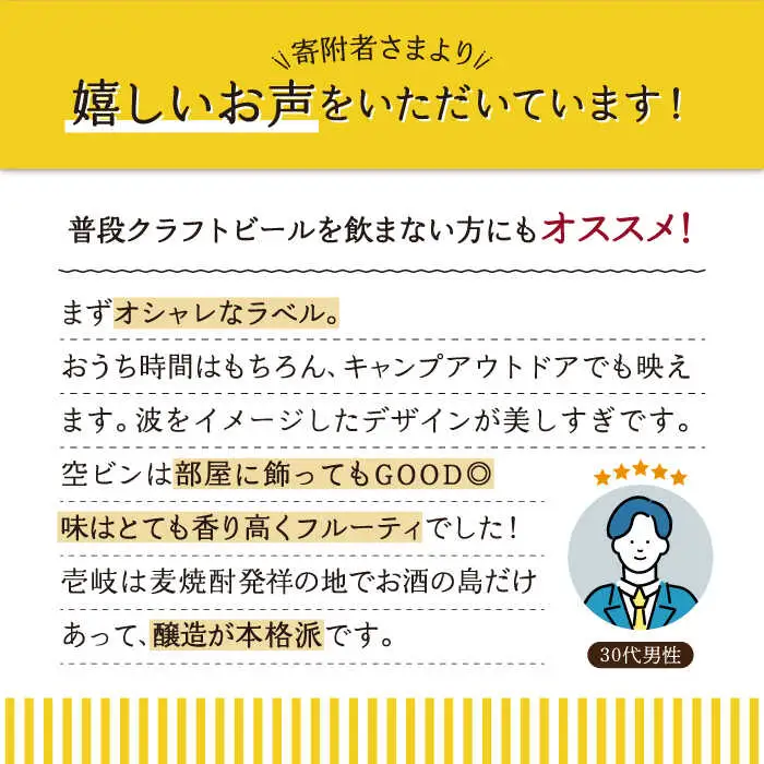 【全3回 定期便 】クラフトビール 地ビール  24本詰め合わせ（3種類×8本）【ISLAND BREWERY】 《 壱岐市 》[JED030] 165000 165000円