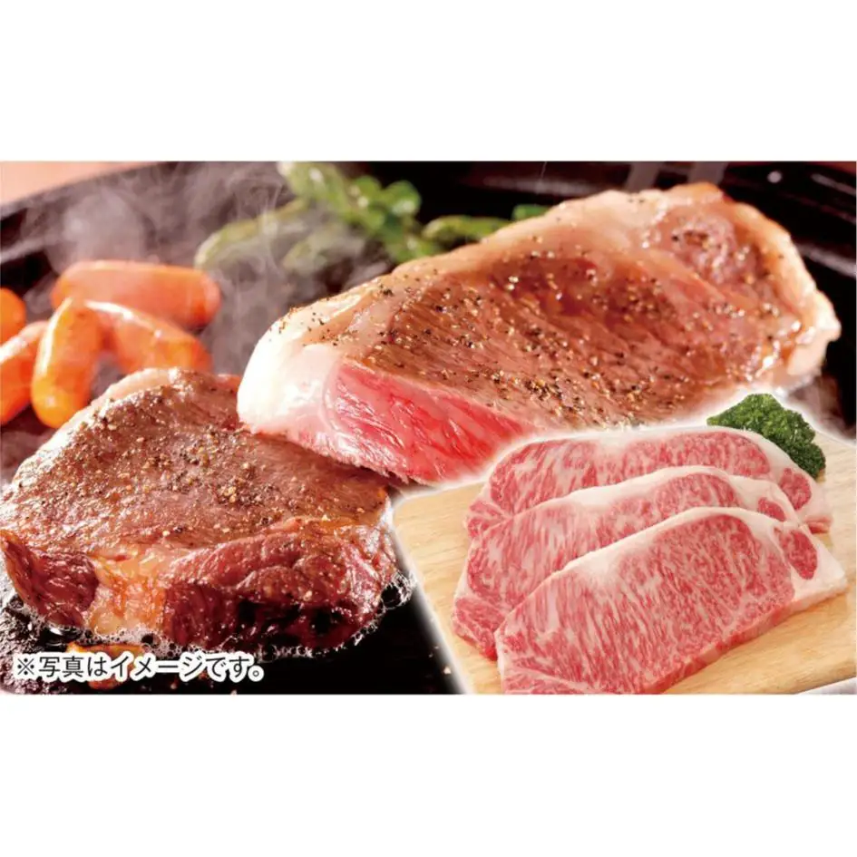 宮崎牛 サーロインステーキ500g（250ｇ×2枚）牛肉 4等級以上 内閣総理大臣賞4連覇 厳選＜3-5a＞A