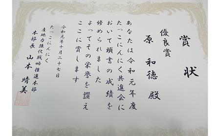 丸美農園 田子産にんにく家庭用Lサイズ 15個