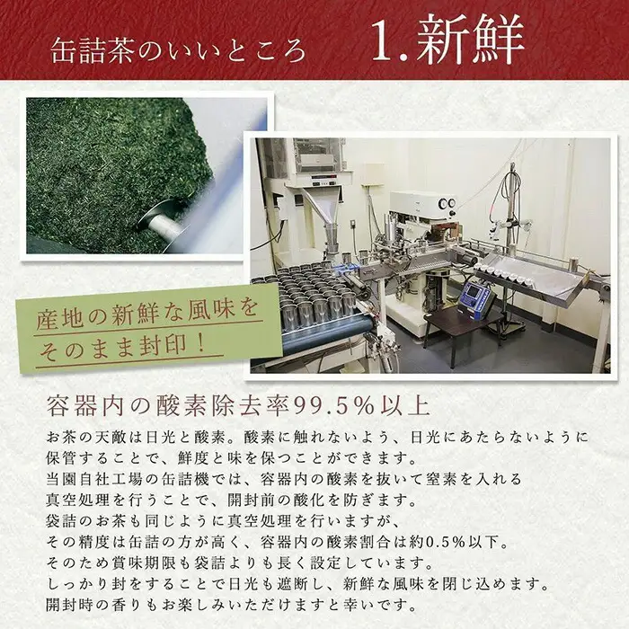 【予約限定茶】希少品「2027年産 特選初摘み新茶」100g缶詰 2缶化粧箱入 ギフト対応＜岩崎園製茶＞｜2027年5月初旬頃発送 075-050