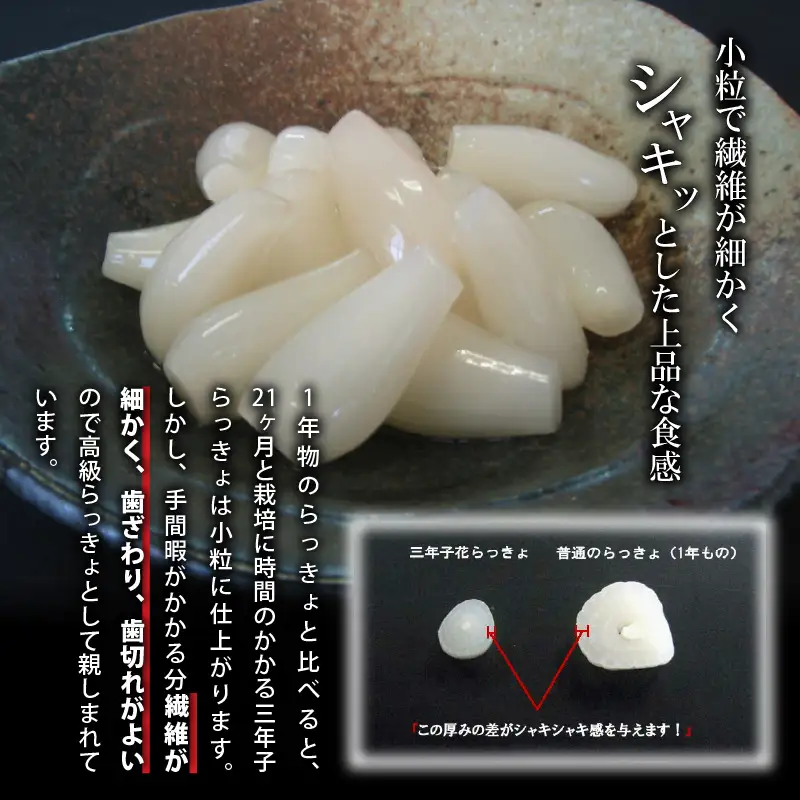 『こだわりの三年掘り栽培』 福井特産 三年子花らっきょギフト 【甘酢 漬け 国産 漬け物 お漬物 ラッキョウ らっきょう】 [B-0701]