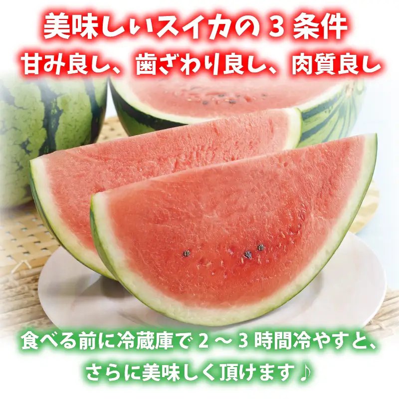 【先行予約】甘さきらめく「夏の天使」スイカ1玉 【2027年7月中旬以降順次発送予定】スイカ 西瓜 すいか 大玉 デザート 果物 お取り寄せ 産地直送 [A-1005]