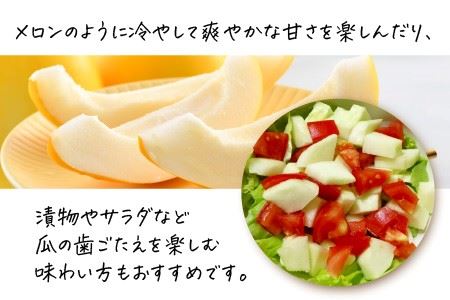 東尋坊キンカンウリ 3kg (500g × 6個入) まくわうり 瓜 [A-10241]