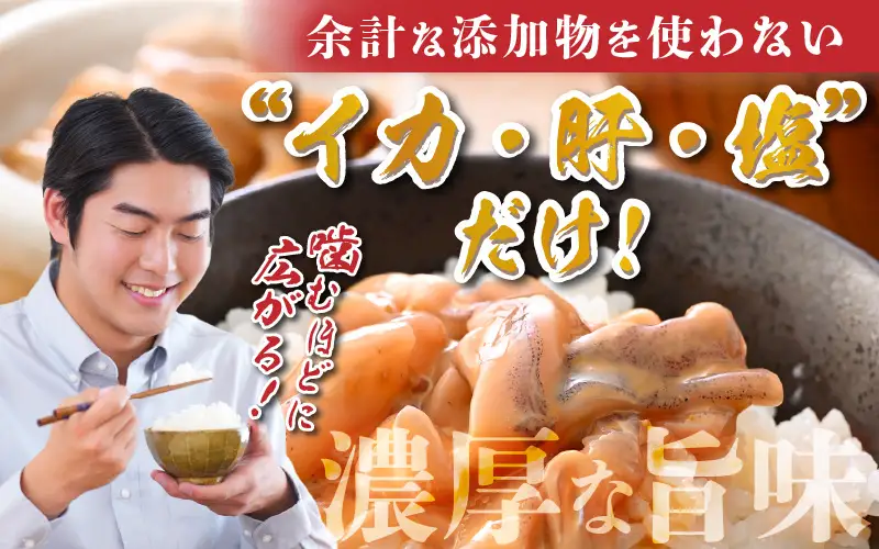 【国産スルメイカ使用】いかの塩辛 90g×4パック 小分けセット [A-4373]