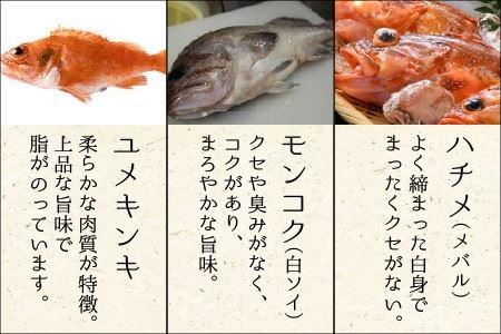 とれピチ鮮魚のおまかせ刺身用 200g×2種 ～越前三国港 漁船「神力丸」 船長がお届け！～ [A-5824]