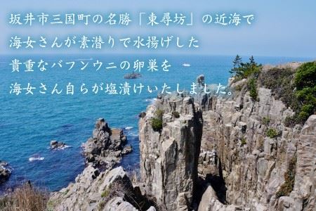 濃厚な旨味が口中に溢れる 坂井市三国産 極上汐雲丹 40g [C-9202]