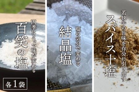 若狭牛 特上サーロインステーキ 250g × 2枚 & 越前海岸の百笑の塩・結晶塩・若狭牛専用スパイス セット [D-1804]