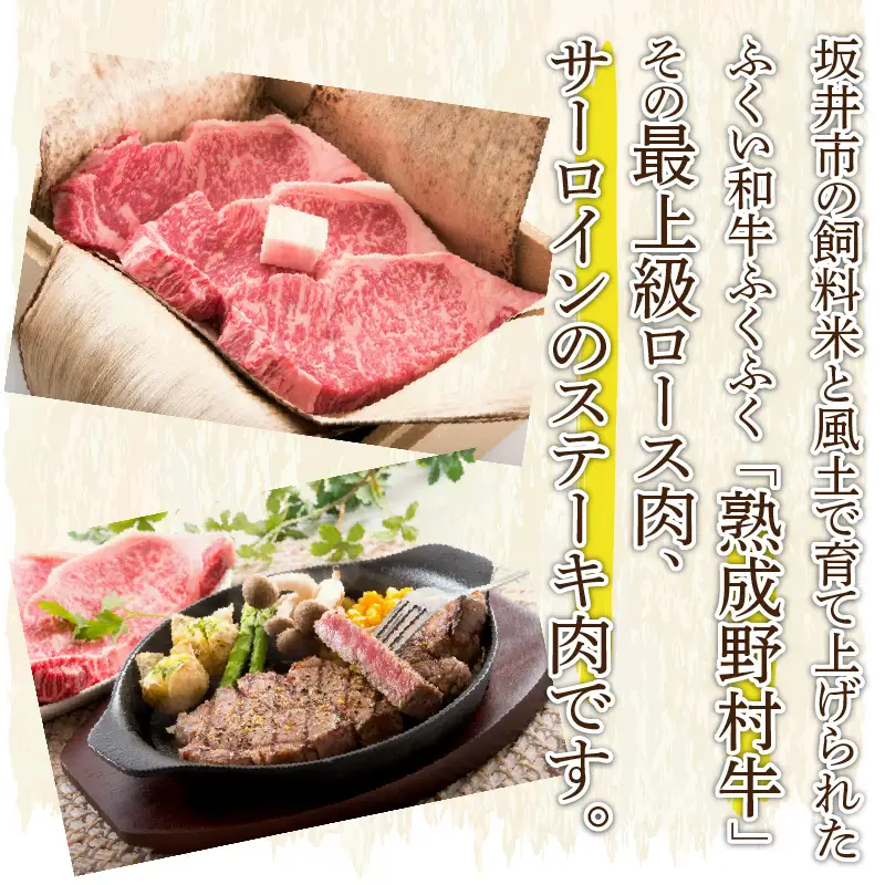 福井のお米で育てた野村さんの若狭牛 「熟成サーロインステーキ」 200g × 3枚 【サーロイン ステーキ肉 若狭牛 国産和牛 黒毛和牛 黒毛和種 ブランド牛 和牛 肉 牛 牛肉 坂井市 福井県産 国産 冷凍】 [E-2003]
