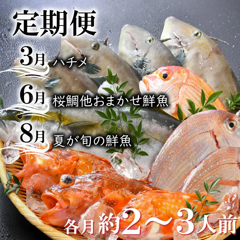 【先行予約】【6ヶ月連続お届け】エビ三昧＆旬の鮮魚 定期便 ～日本海の海の幸コラボ～【2027年3月より発送開始予定】 [F-8504]