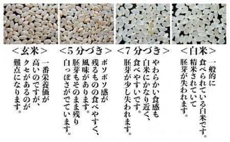 令和8年産・新米 (上白米) 定期便 ≪6ヶ月連続お届け≫ あきさかり 10kg × 6回 生活応援 [K-0201_01]