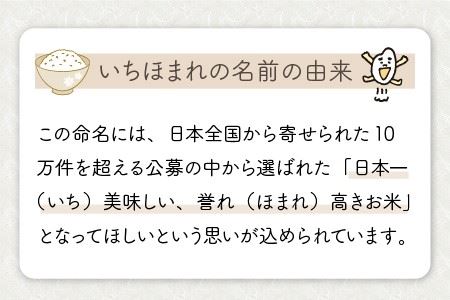 【令和8年産】定期便 ≪12ヶ月連続お届け≫ 福井県のブランド米 いちほまれ 無洗米 5kg × 12回 計60kg 【 無洗米 人気 品種 ブランド米 特A 】 [N-6105]