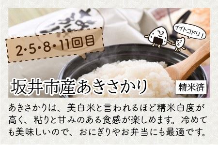 【令和8年産】 定期便 ≪12ヶ月連続お届け≫ 福井県発祥のお米 3種食べ比べ 5kg × 12回 計60kg 【 人気 品種 ブランド米 特A 】 [N-6104]