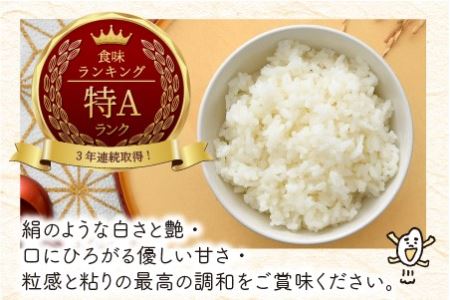 【令和8年産】 定期便 ≪6ヶ月連続お届け≫ 福井県のブランド米 いちほまれ 無洗米 10kg × 6回 計60kg 【 無洗米 人気 品種 ブランド米 特A 】 [N-6106] 