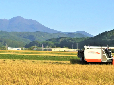 米 令和8年産 まっしぐら 玄米 10kg (5kg×2袋) こめ お米 おこめ コメ ご飯 ごはん 令和8年 山下農園 青森 青森県 鯵ヶ沢町