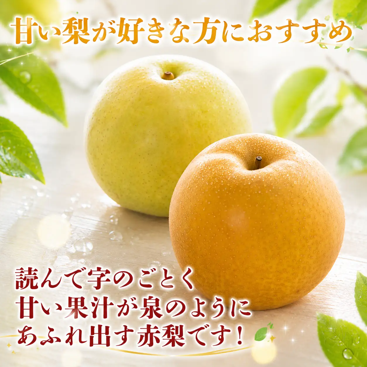 Y025 プレミアム新甘泉 3kg