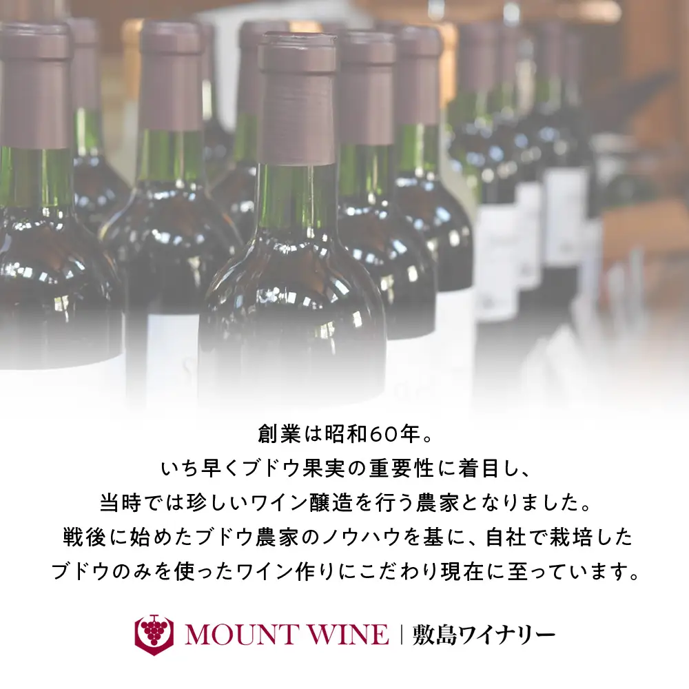 ピノ・ノワール 720ml×1本 ワイン お酒 酒 アルコール 葡萄 ブドウ ギフト プレゼント 贅沢 山梨 甲斐市 F-32