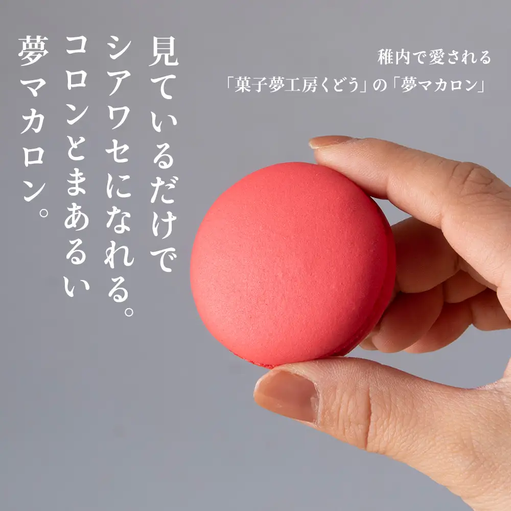 菓子夢工房 くどうのマカロン　いちご、バニラ、チョコ、抹茶、オレンジ、レモン各2、計12個【配送不可地域：離島・沖縄県】