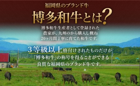 【緊急支援品 無くなり次第終了 訳あり】 博多和牛 ＋ 国内産 黒毛和牛 切り落とし 合計1.8kg(300g×6パック)
