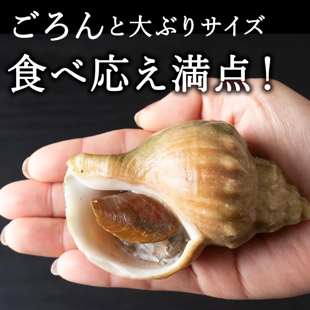 小林さん家の宗谷岬産つぶ煮　2kgセット【配送不可地域：離島・沖縄県】