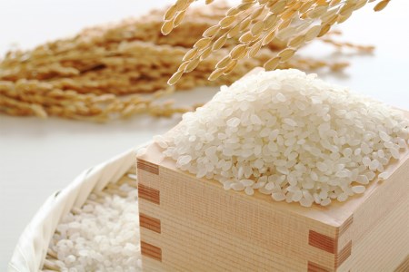福岡県のブランド米 ! 「夢つくし5kg」 & 「元気つくし5kg」食べ比べ