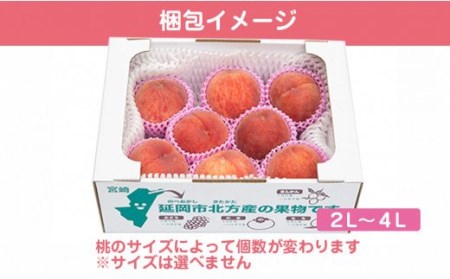 【田口ﾌｧﾐﾘｰﾌｧｰﾑ】旬の桃 2L～4L(14～24玉)(2026年6月中旬発送開始) N053-YZB710