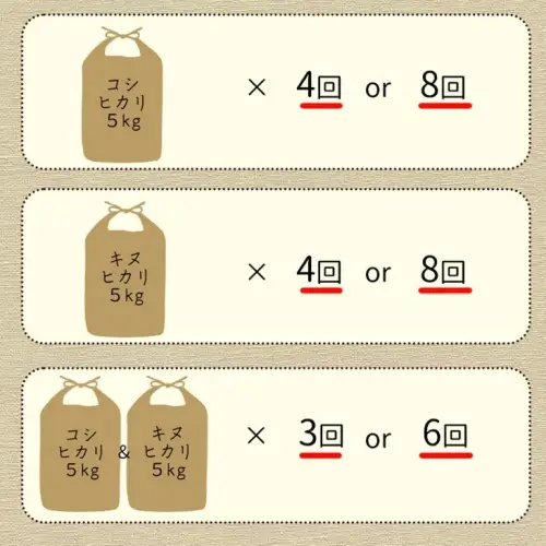 【3回定期便】コシヒカリ 10kg 定期便 精米 白米