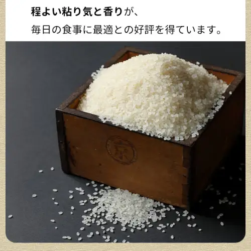 米 コシヒカリ 10kg 精米 白米