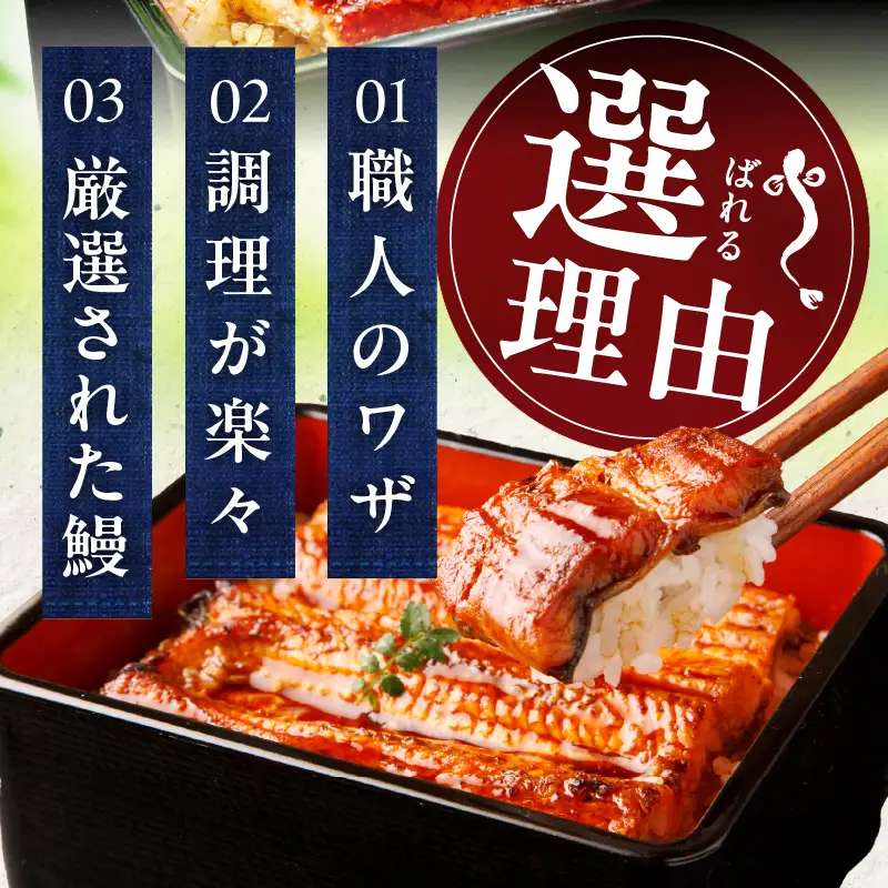 うなぎ蒲焼 合計480g