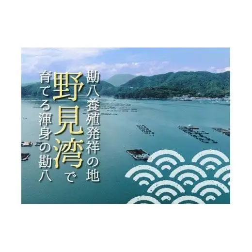 【 カンパチ 】 カンパチ須崎勘八 1尾
