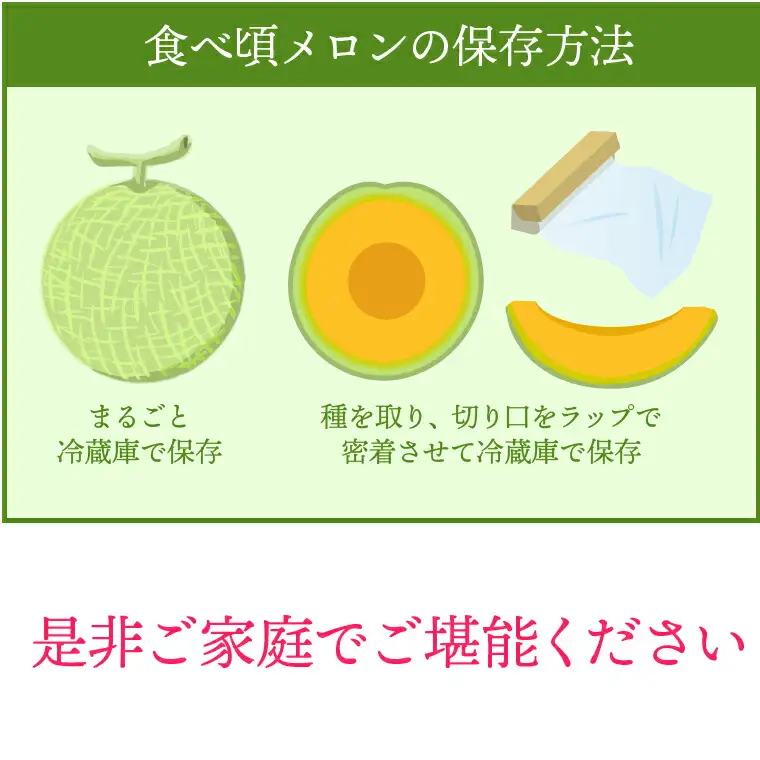 北海道石狩産 赤果肉メロン1玉 計1.6kg以上｜メロン フルーツ 果物 北海道 石狩市
