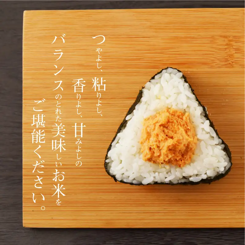 S050-007A_【令和7年産】コシヒカリ 精米 5kg
