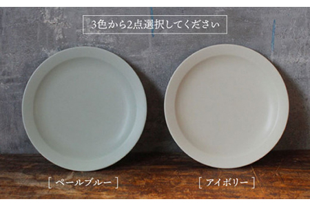 【美濃焼】＜色が選べる＞flat 7plate 7プレート2枚セット【KANEAKI SAKAI POTTERY】【TOKI MINOYAKI返礼品】 食器 皿 シンプル 器 うつわ プレート お皿 丸皿 中皿 パスタ皿 ワンプレート 焼き物 大人 シック マット アイボリー ブルー ペールブルー 水色 青 ネイビー 紺 金秋酒井 送料無料  [MBC023]