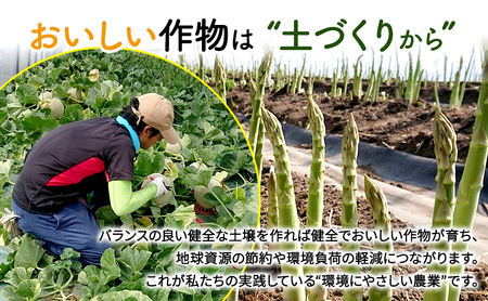 グリーンアスパラ サイズ無選別 富良野産 アスパラ【約2kg 60～80本】