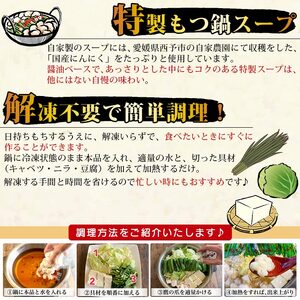 国産黒毛和牛もつ鍋セット～特製にんにく醤油味～（2人前×4セット） UMN0011