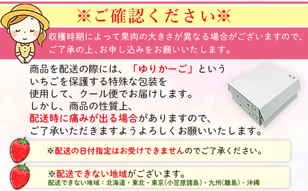 2025年発送＜谷口農園のいちご「紅い雫」約1kg（約250g×4パック）西予市 宇和町産＞ イチゴ 果物 フルーツ ストロベリー ジューシー 特産品 株式会社フジ・アグリフーズ 愛媛県 西予市【冷蔵】『2025年1月～4月に育成状況を見ながら順次出荷予定』OFA0001