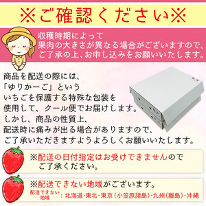 西予市宇和町産 谷口農園のいちご（紅い雫）8パック OFA0002