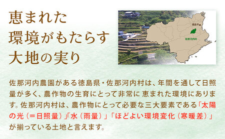 すだち発泡入浴料 15袋入り  |入浴剤