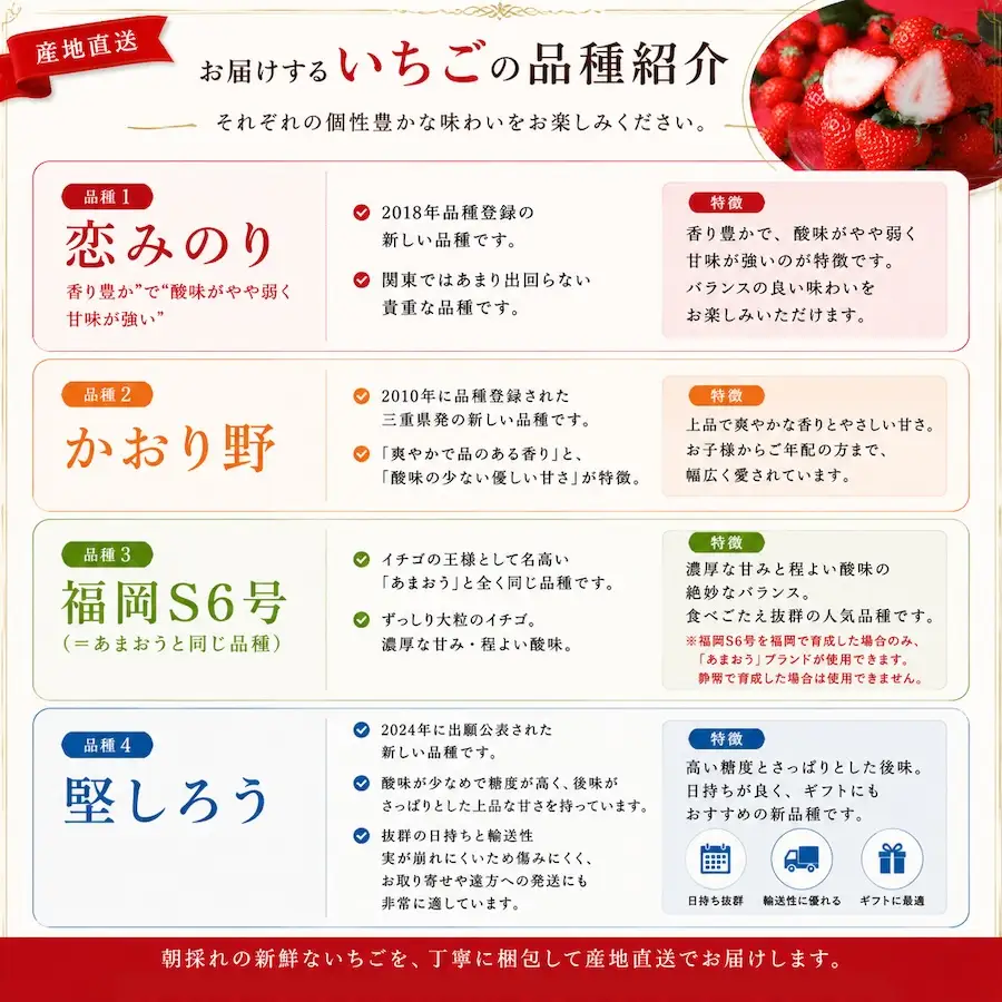【2027年発送予定】完熟 冷凍イチゴ 1kg　【 フローズン ストロベリー スムージー 苺 いちご 】